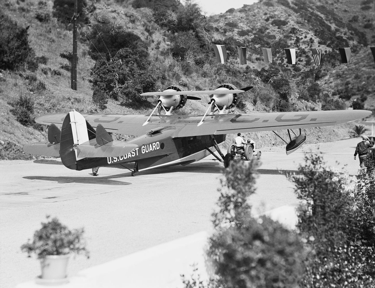 Dolphin at Catalina Airport BI2136