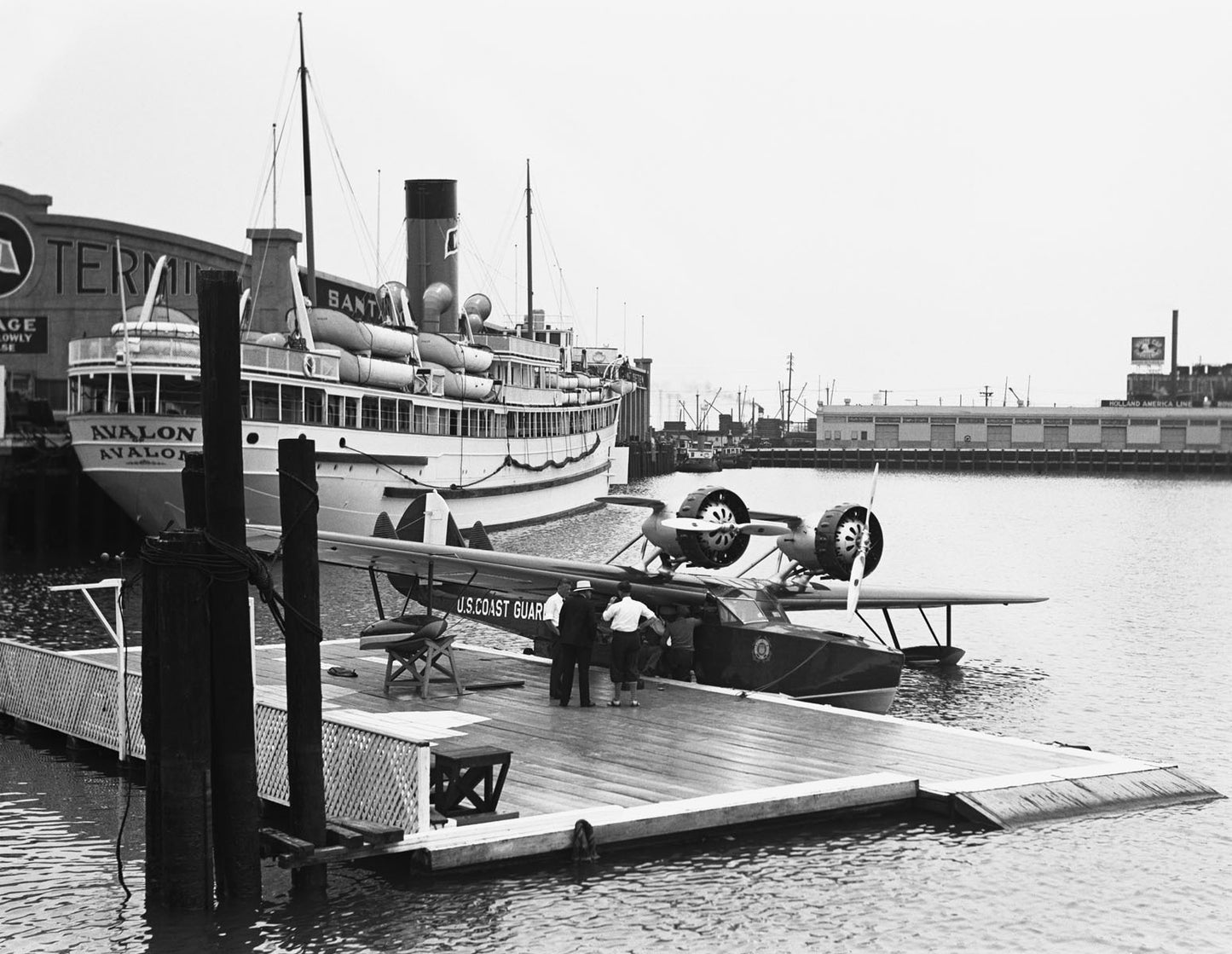 Dolphin at Pier BI2140