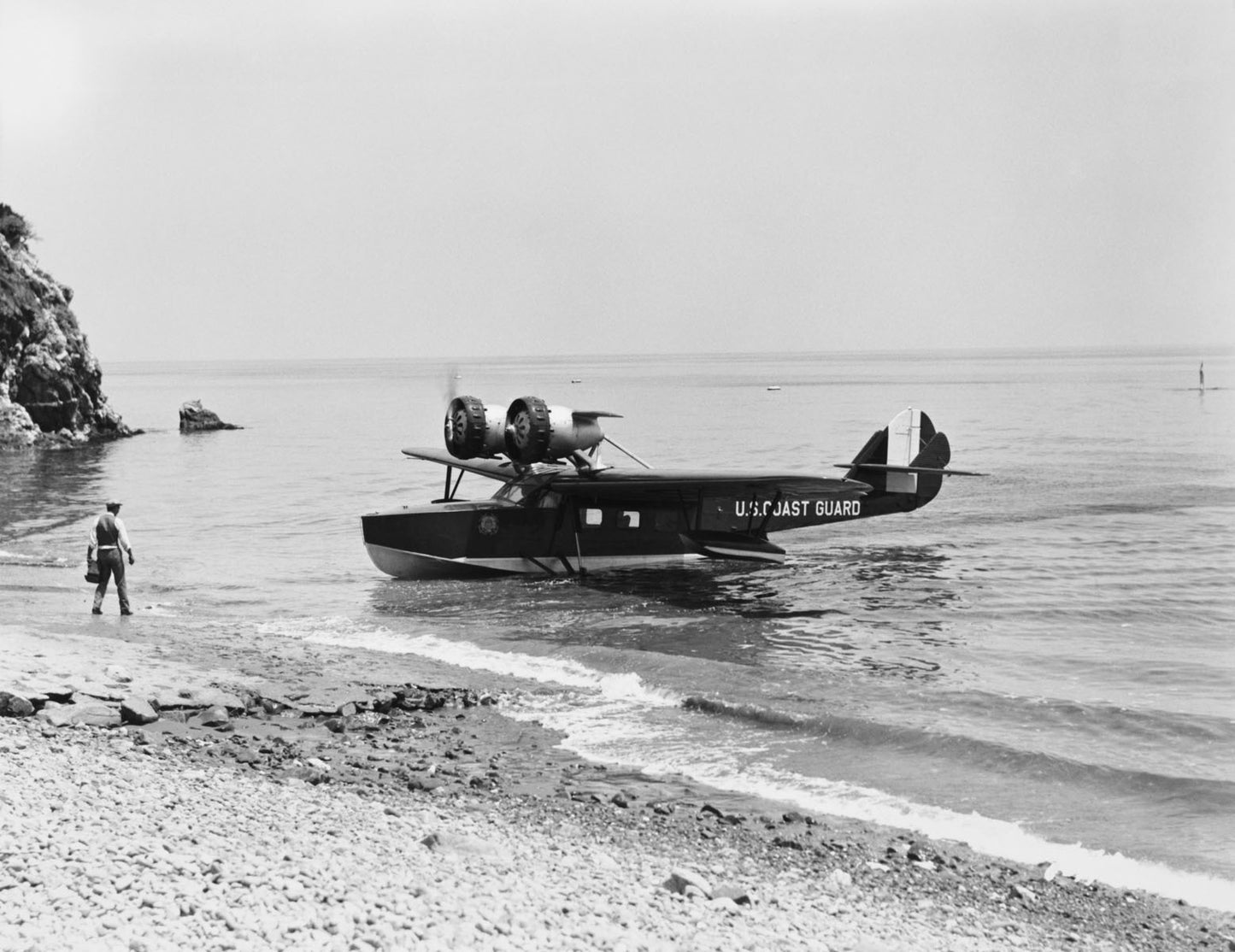 Dolphin at Shore's Edge BI2142