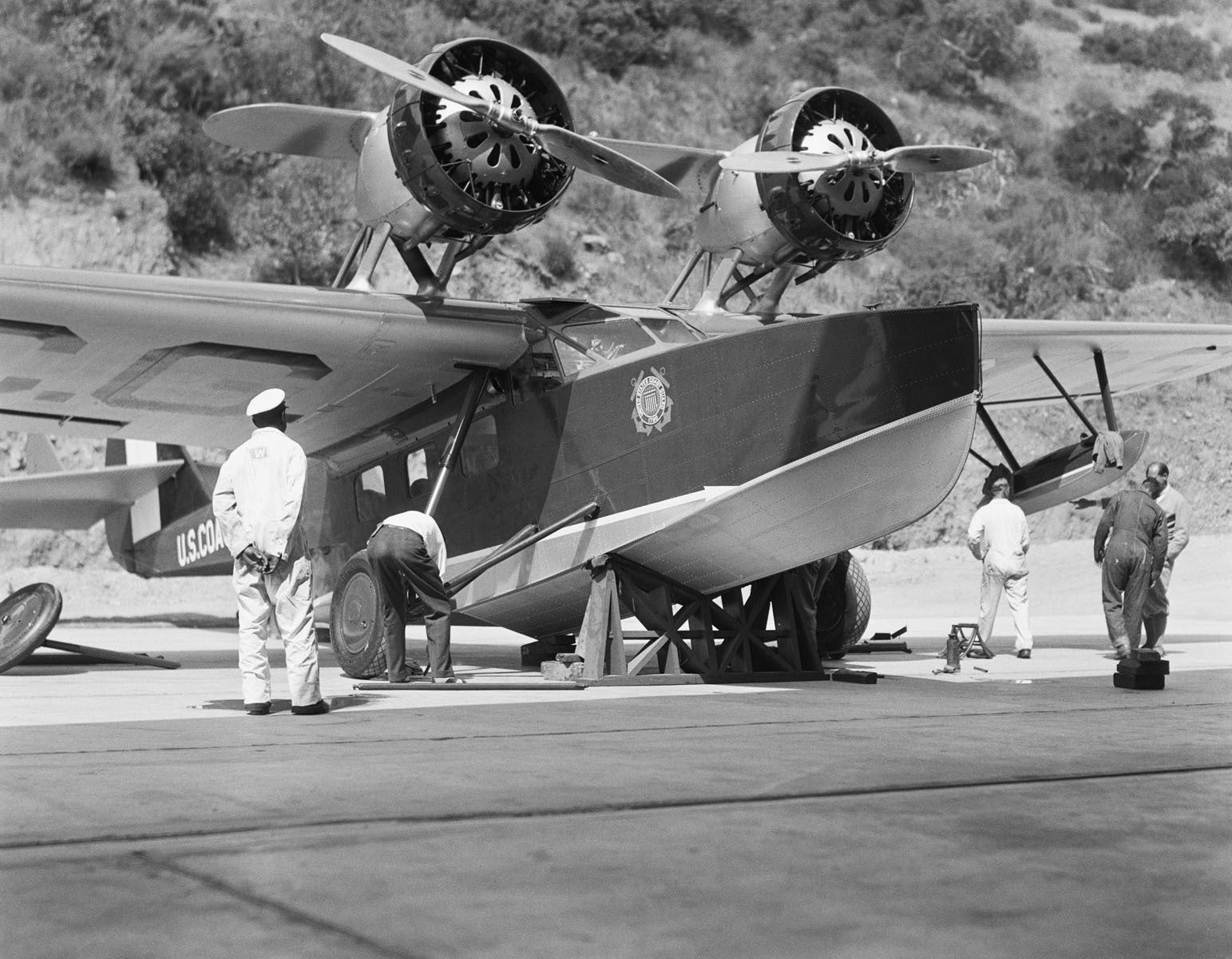 Dolphin at Catalina Airport BI2134