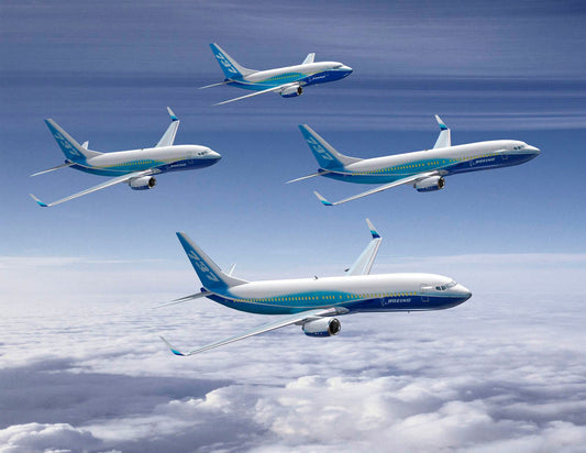 737 Family in New Boeing Commercial Airplanes Livery BI215528