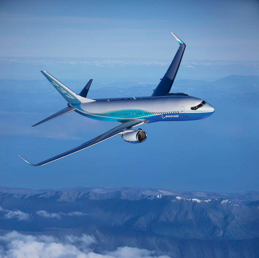 737-800 in Flight BI218858