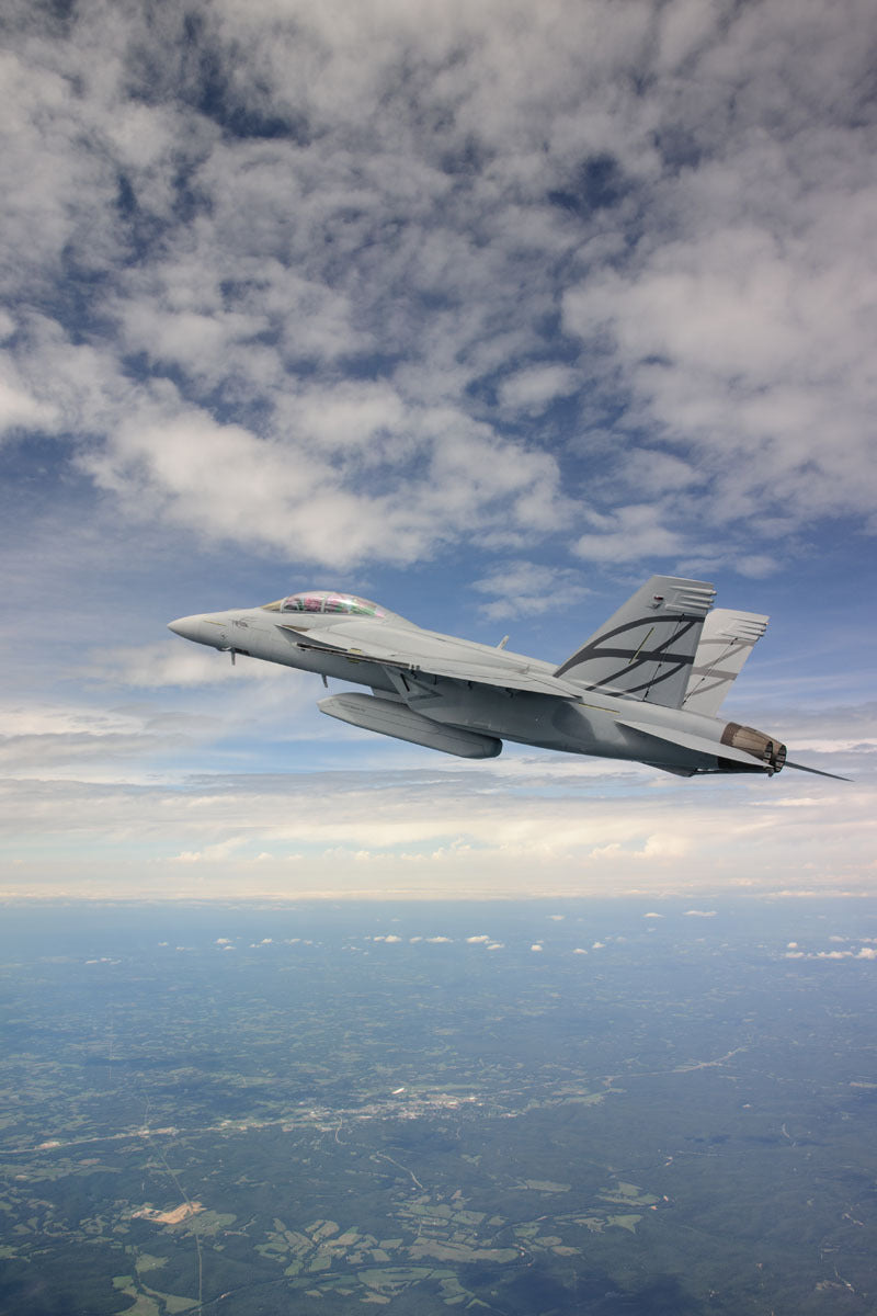 F/A-18E/F Advanced Super Hornet in Flight BI4189