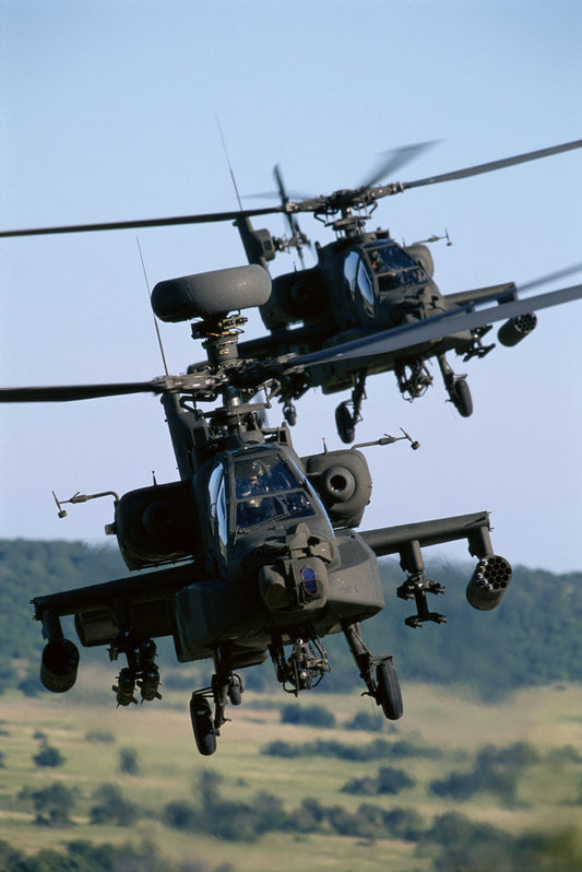 AH-64D Apache Longbow and AH-64D Apache in Flight BI21414