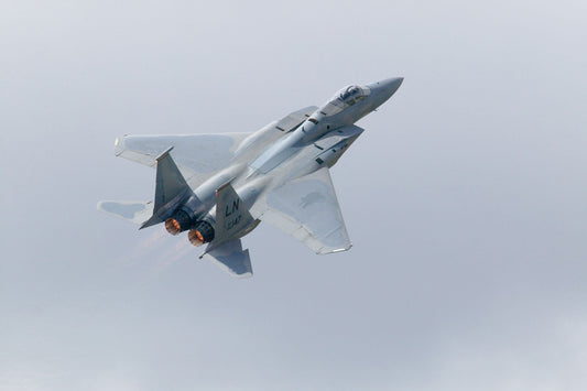 F-15E Strike Eagle in Flight BI216650
