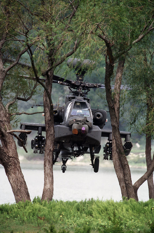 AH-64D Apache Longbow Behind Trees BI218514