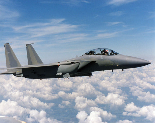 F-15E Strike Eagle in Flight BI224497