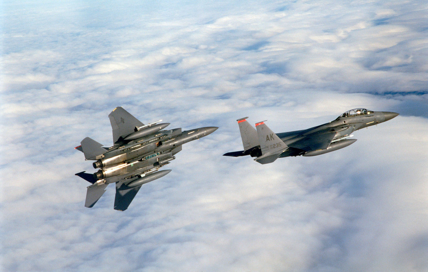 Pair of F-15E Strike Eagles in Flight BI227681